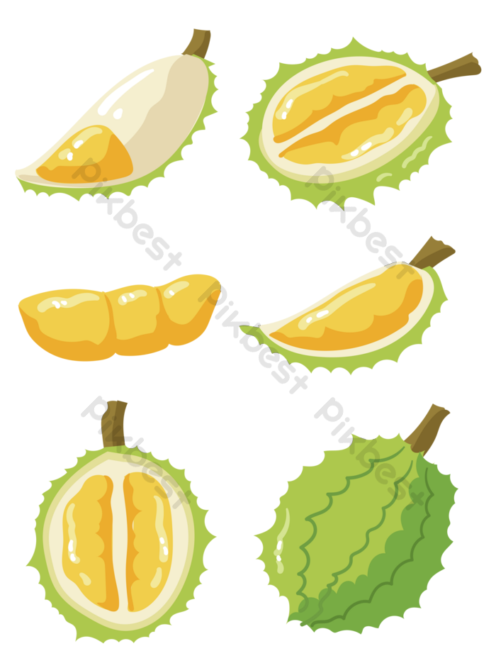 Detail Durian Vector Png Nomer 46