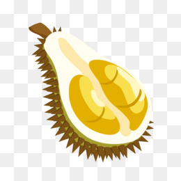 Detail Durian Vector Png Nomer 47