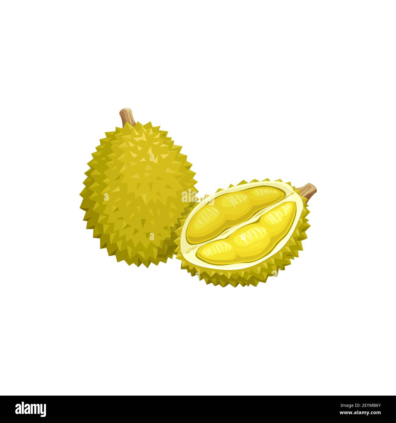 Detail Durian Vector Png Nomer 48