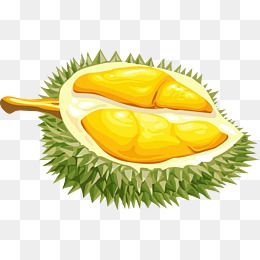 Detail Durian Vector Png Nomer 6