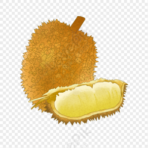 Detail Durian Vector Png Nomer 54