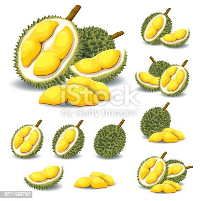 Detail Durian Vector Png Nomer 9