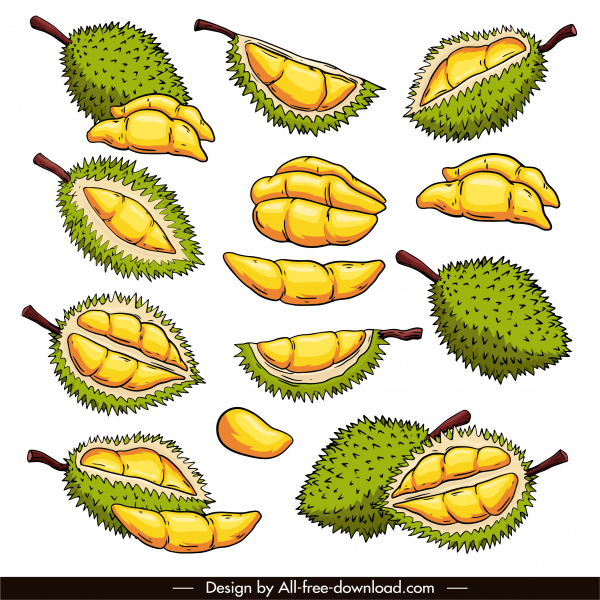 Detail Durian Vector Png Nomer 10