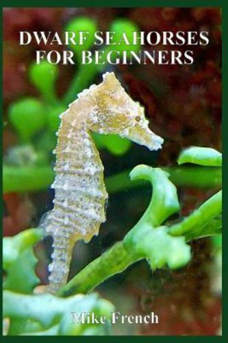 Detail Dwarf Seahorse For Sale Nomer 44