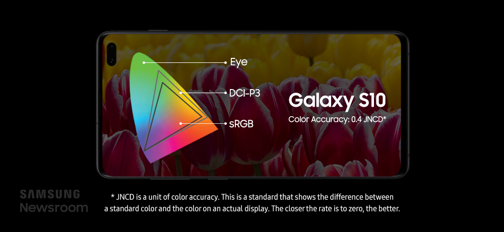 Detail Dynamic Amoled Nomer 6