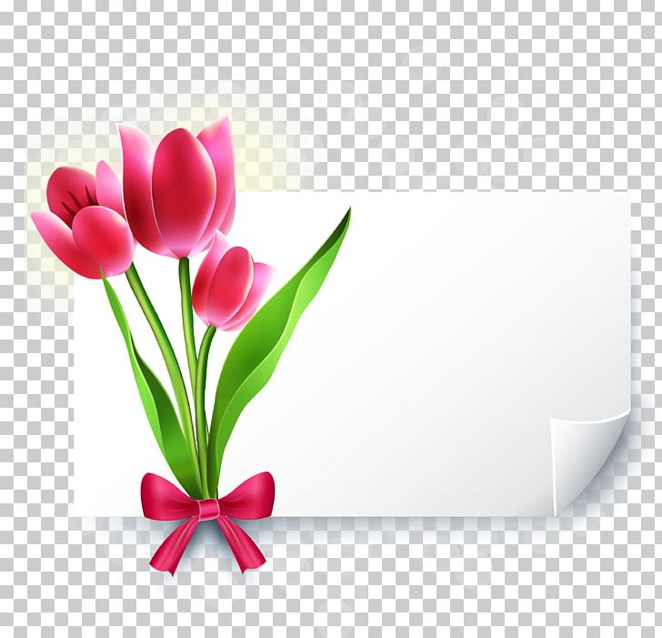 Detail E Card Png Nomer 34