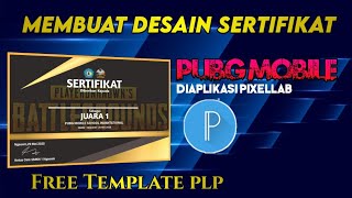 Detail E Certificate Pubg Polos Nomer 12