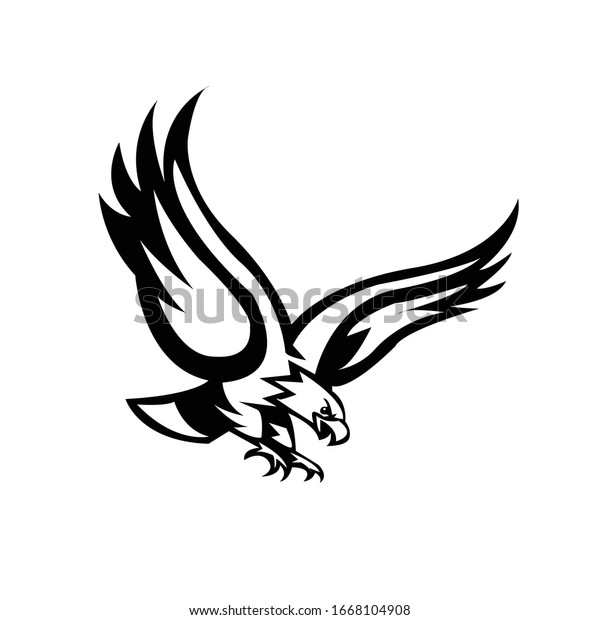 Detail Eagle Black And White Nomer 27