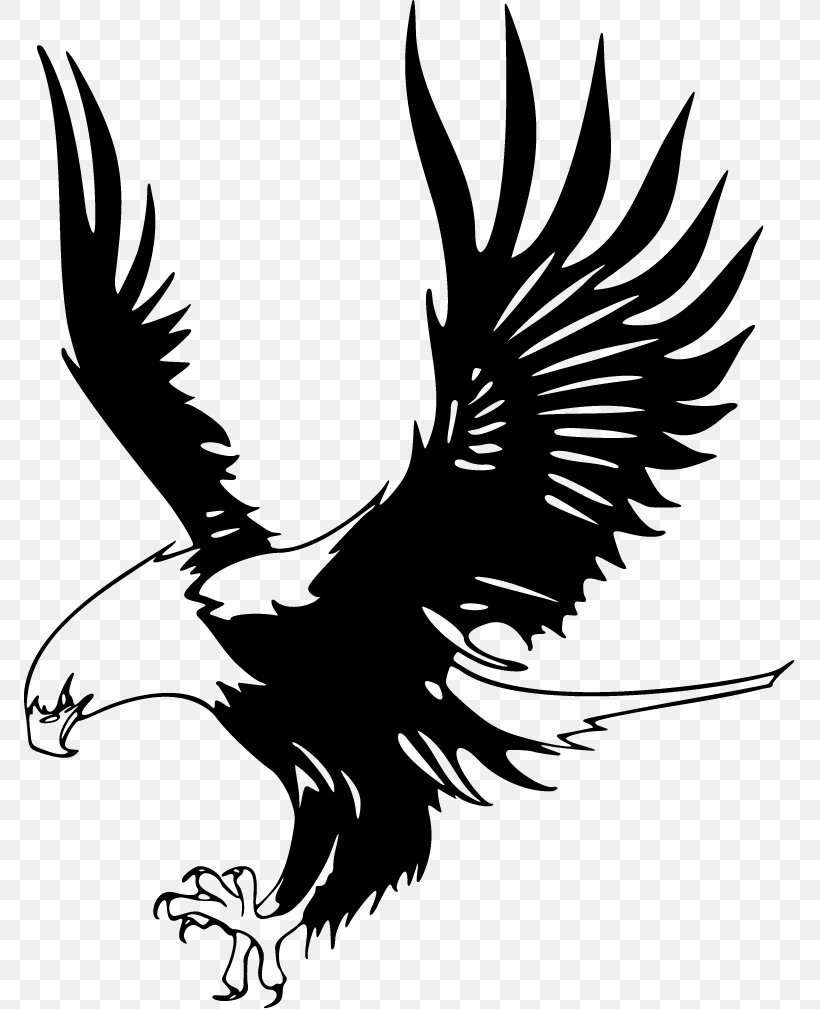 Detail Eagle Black And White Nomer 32