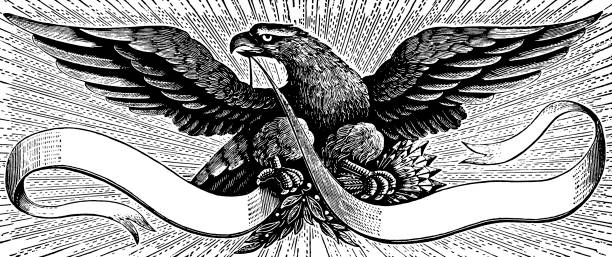 Detail Eagle Black And White Nomer 53