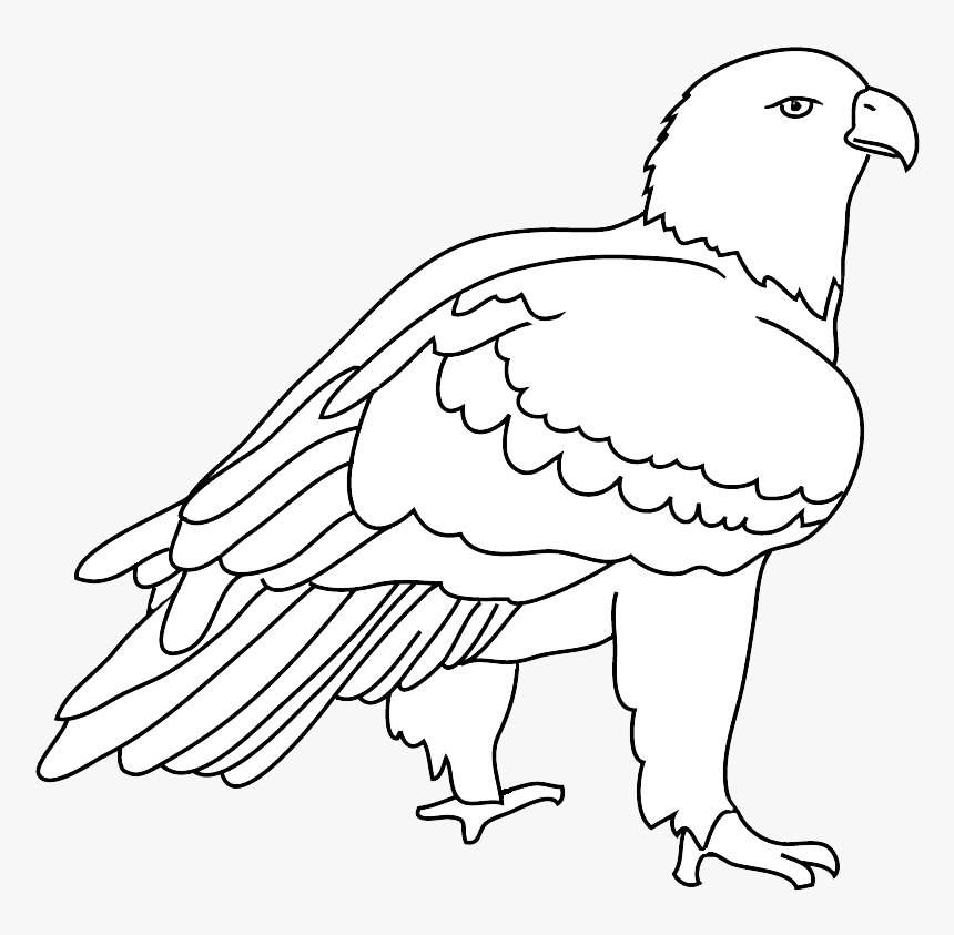 Detail Eagle Black And White Clipart Nomer 26