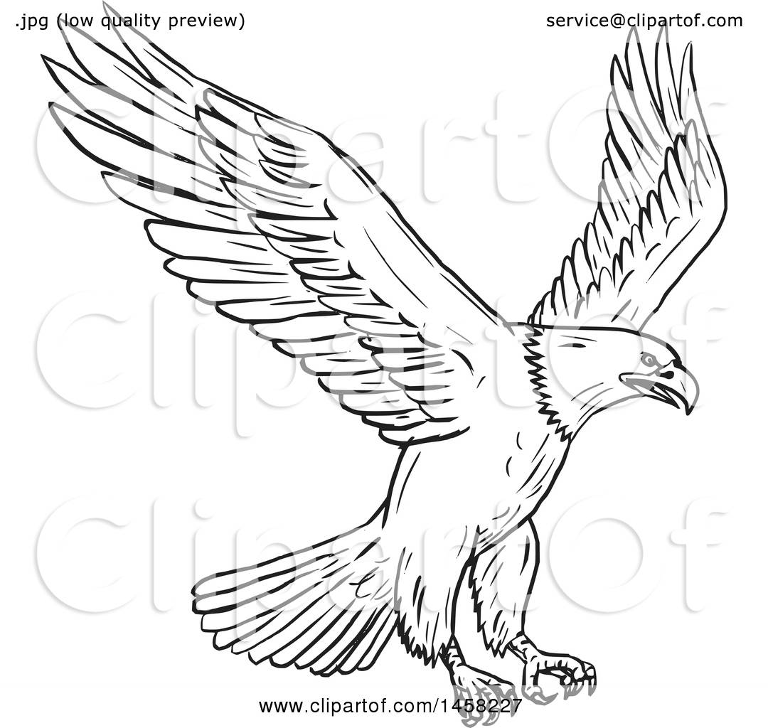 Detail Eagle Black And White Clipart Nomer 39