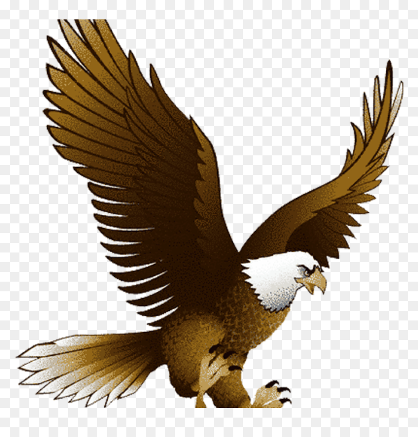 Detail Eagle Clipart Nomer 12