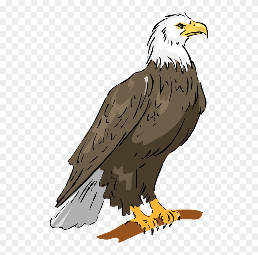 Detail Eagle Clipart Nomer 15