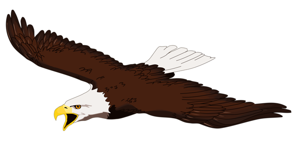 Detail Eagle Clipart Nomer 20