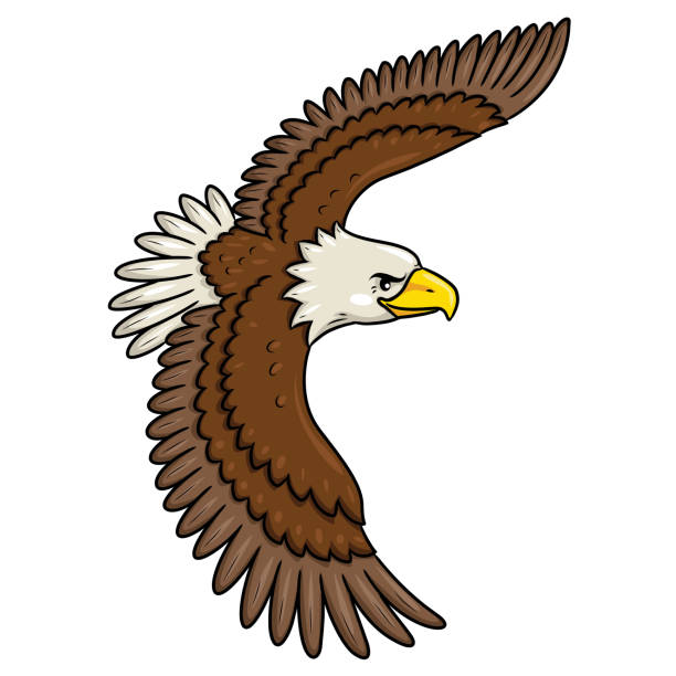 Detail Eagle Clipart Nomer 25