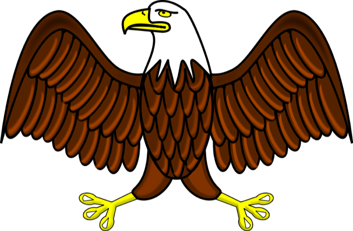 Detail Eagle Clipart Nomer 26