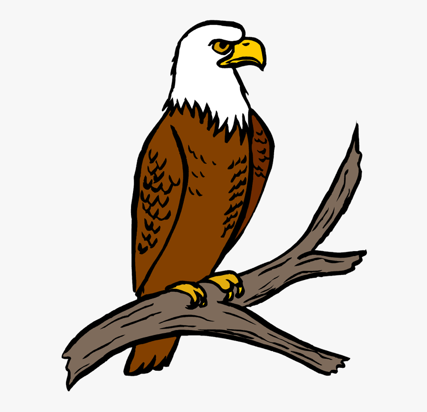 Detail Eagle Clipart Nomer 4