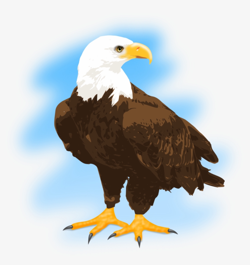 Detail Eagle Clipart Nomer 28