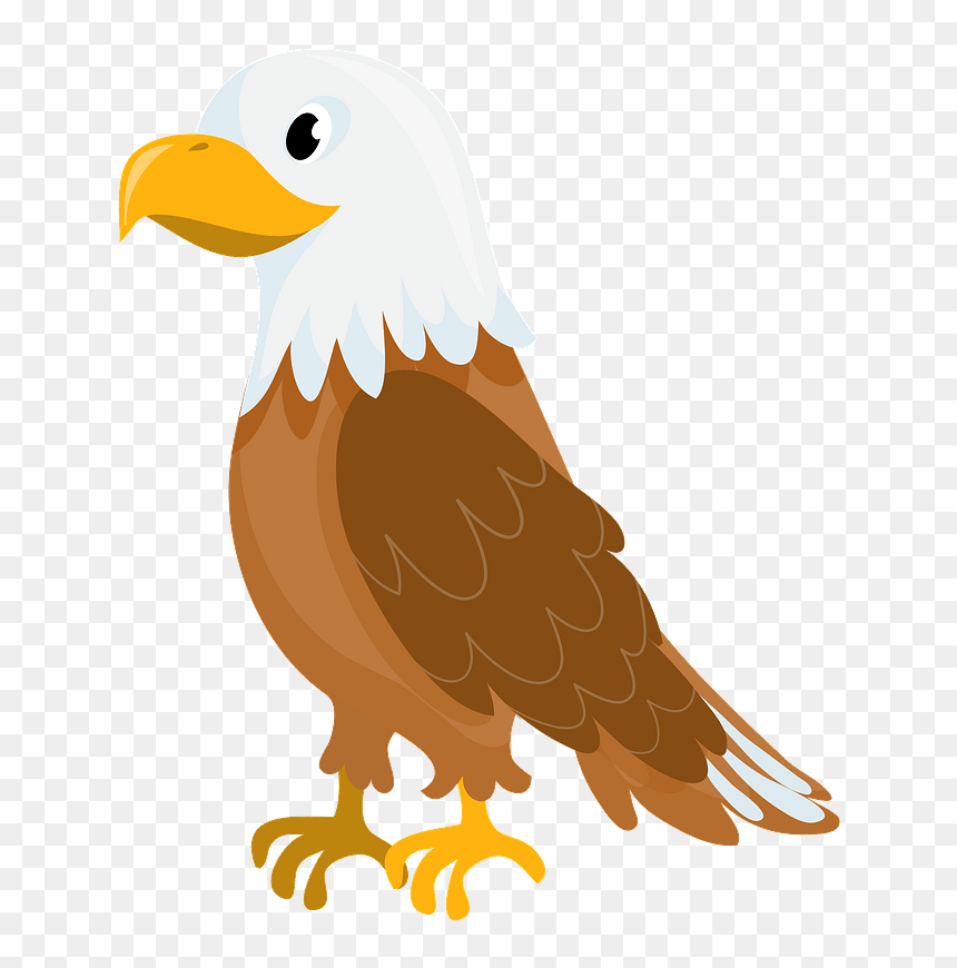 Detail Eagle Clipart Nomer 32