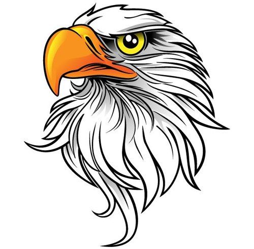 Detail Eagle Clipart Nomer 36