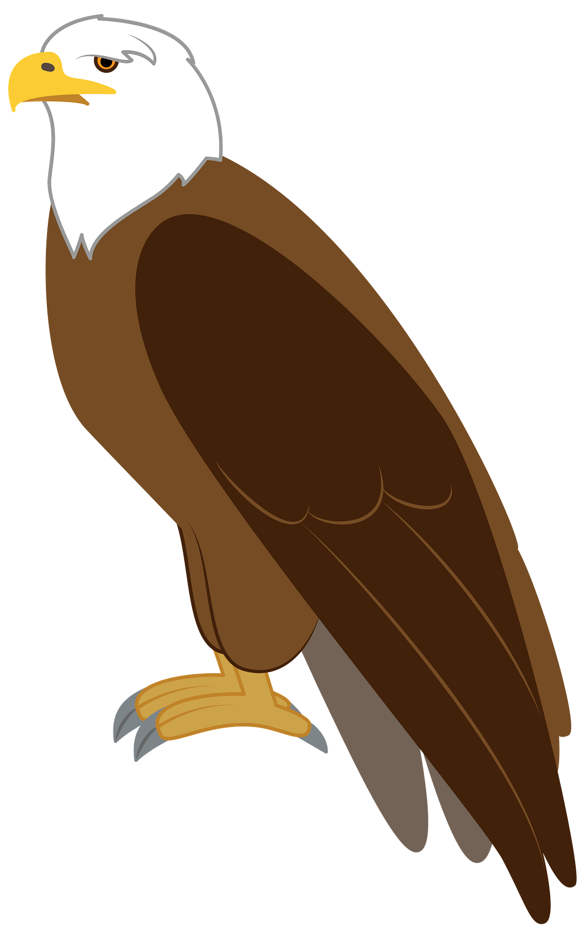 Detail Eagle Clipart Nomer 10