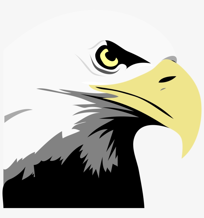 Detail Eagle Download Nomer 23