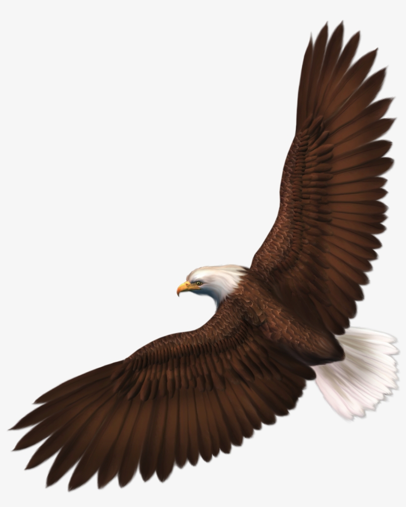 Detail Eagle Download Nomer 28