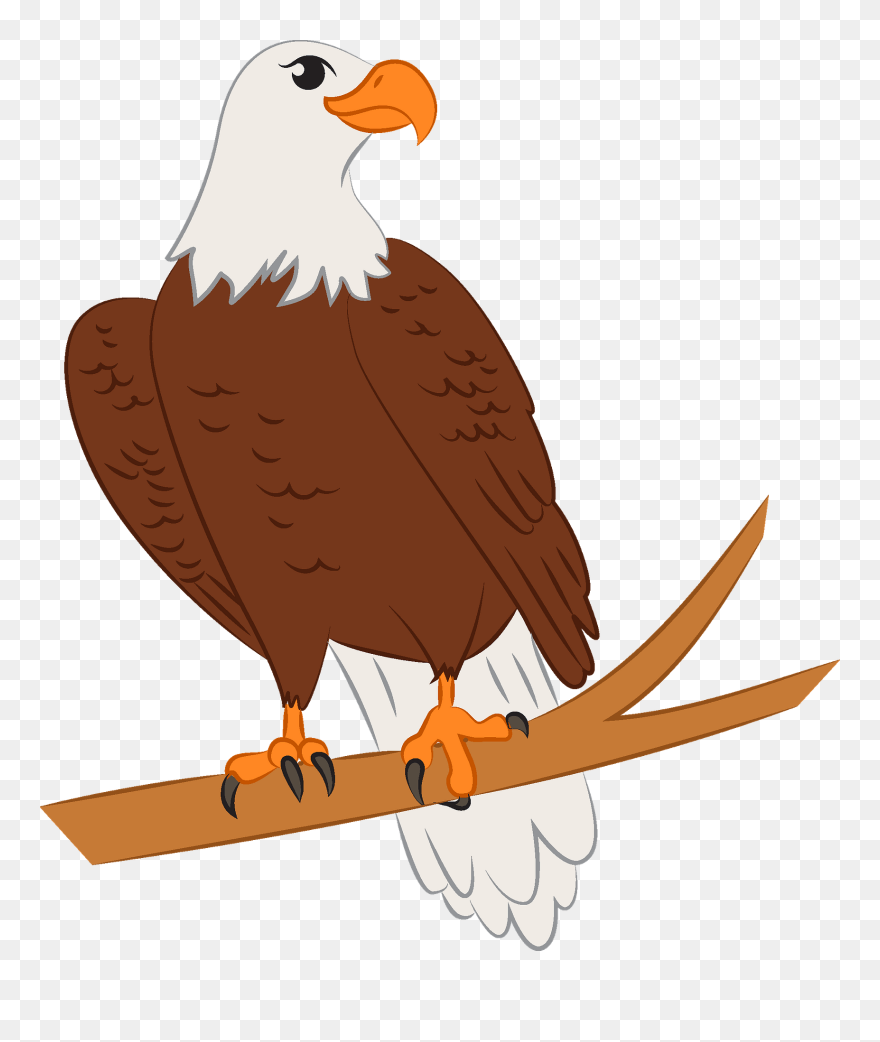 Detail Eagle Download Nomer 32