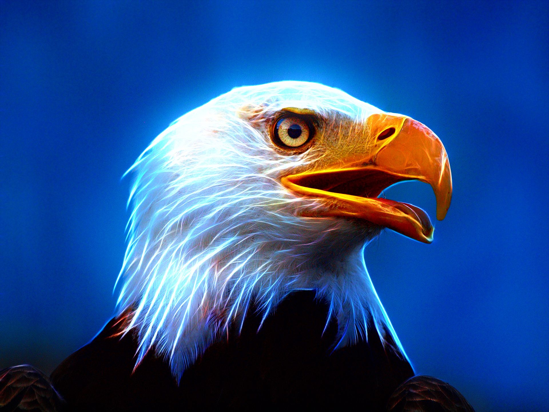 Detail Eagle Pictures Download Nomer 2