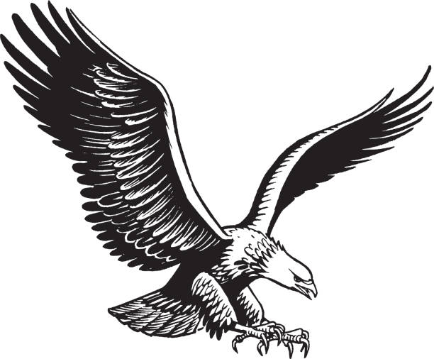 Detail Eagle Silhouette Clip Art Nomer 21