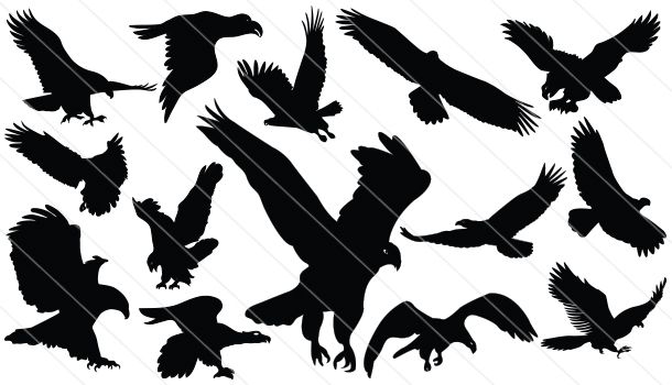 Detail Eagle Silhouette Clip Art Nomer 30