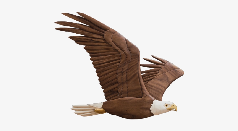 Detail Eagle Soaring Png Nomer 52