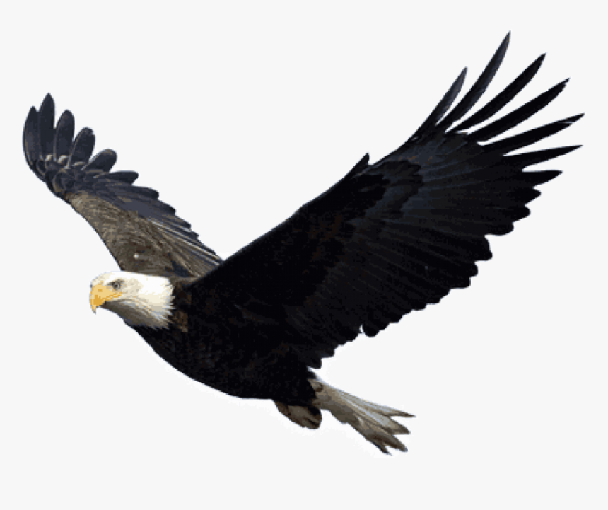 Eagle Transparent - KibrisPDR