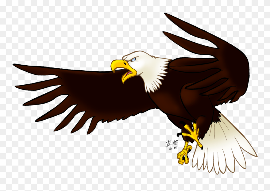 Detail Eagle Transparent Background Nomer 23