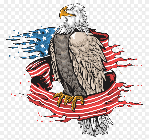 Detail Eagle Transparent Background Nomer 37
