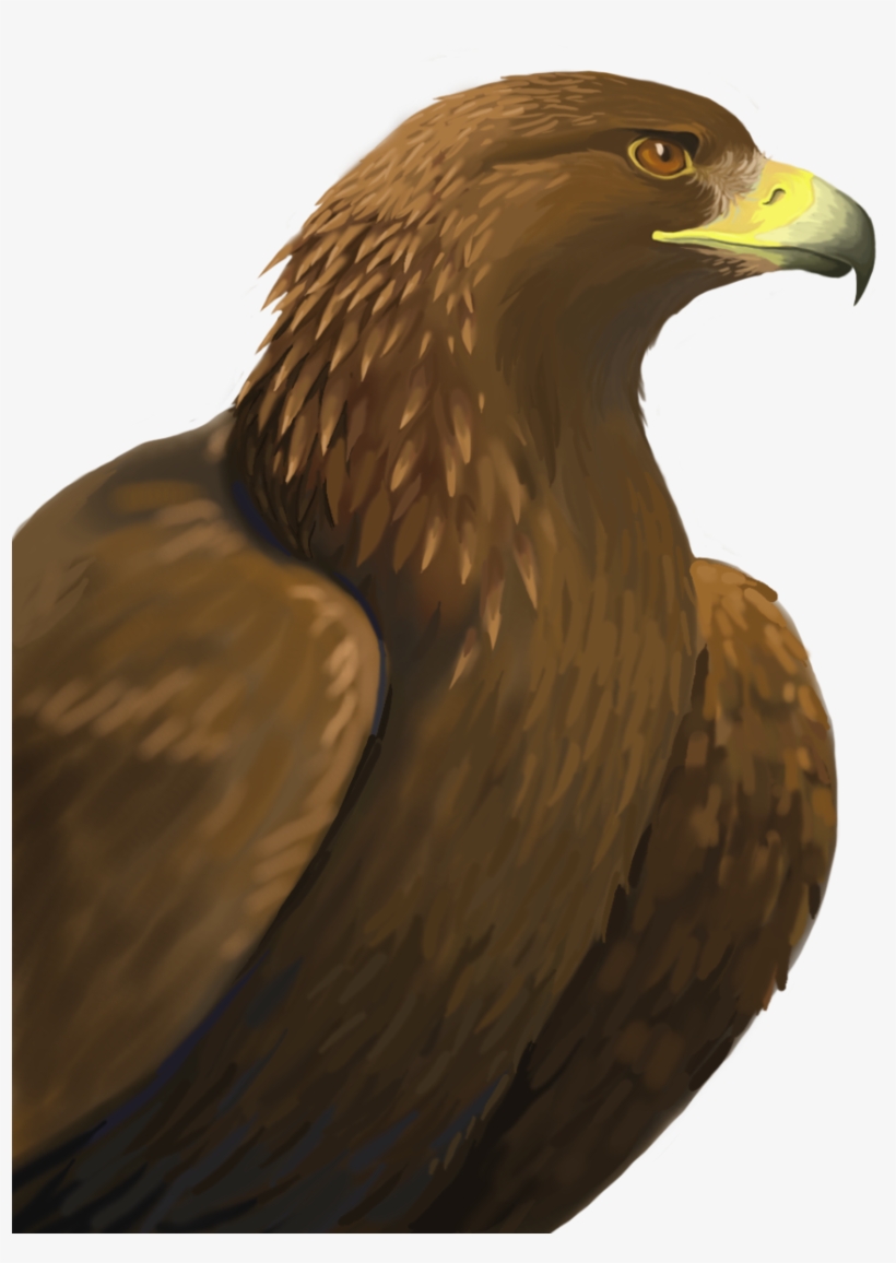 Detail Eagle Transparent Background Nomer 51