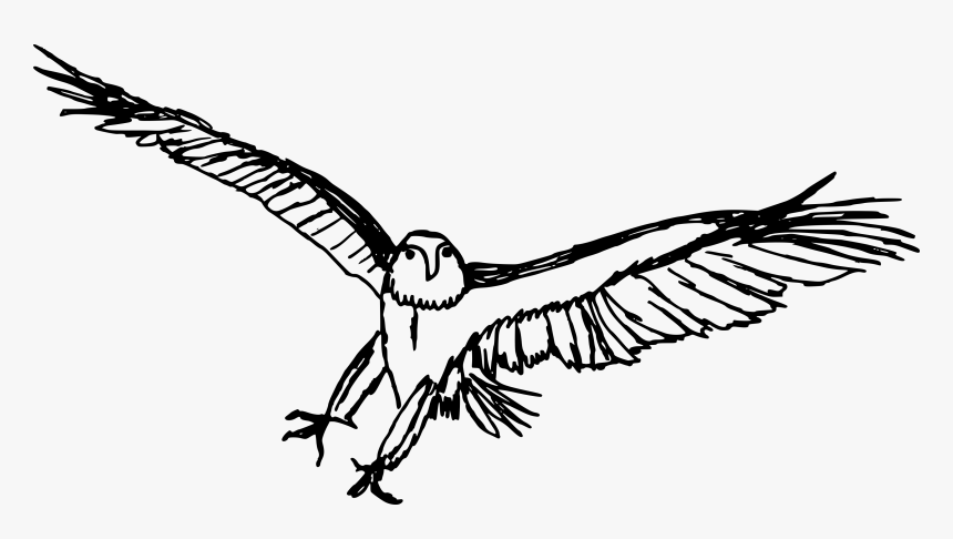 Detail Eagle Transparent Background Nomer 53