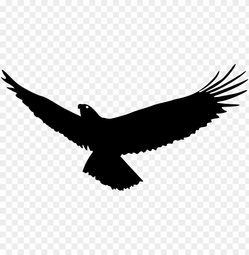 Detail Eagle Transparent Background Nomer 54