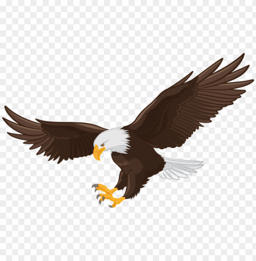 Detail Eagle Transparent Background Nomer 7