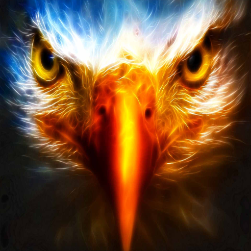 Detail Eagle Wallpaper 3d Nomer 2