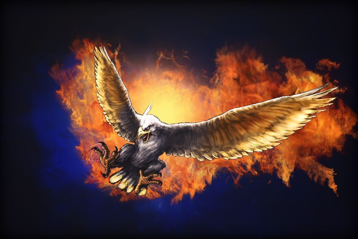 Detail Eagle Wallpaper 3d Nomer 18