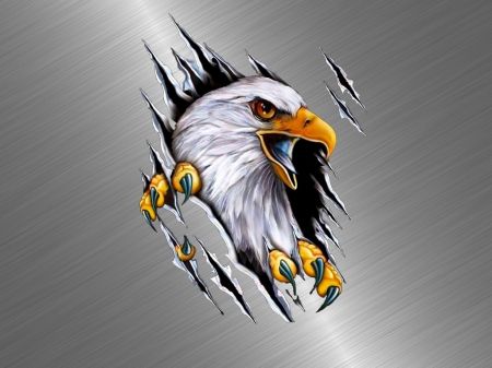 Detail Eagle Wallpaper 3d Nomer 4