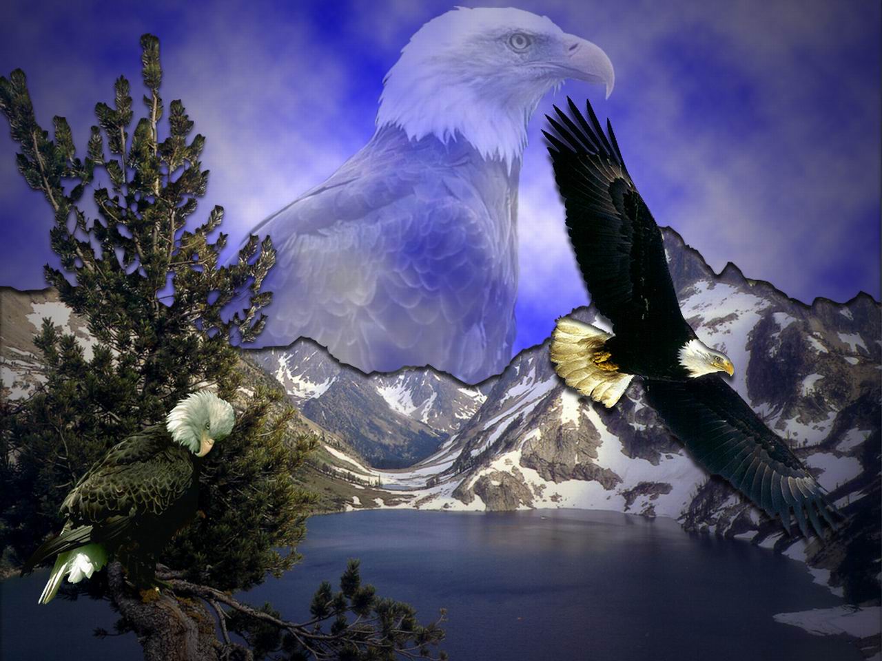 Detail Eagle Wallpaper 3d Nomer 38