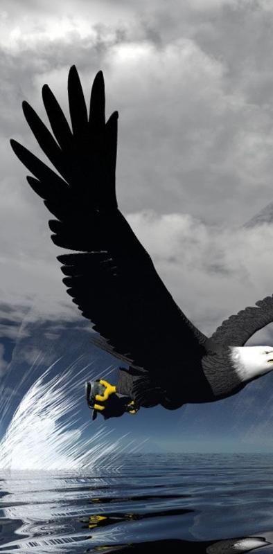 Download Eagle Wallpaper 3d Nomer 50