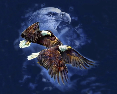 Detail Eagle Wallpaper 3d Nomer 10