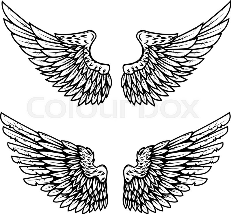 Detail Eagle Wings Logo Nomer 15