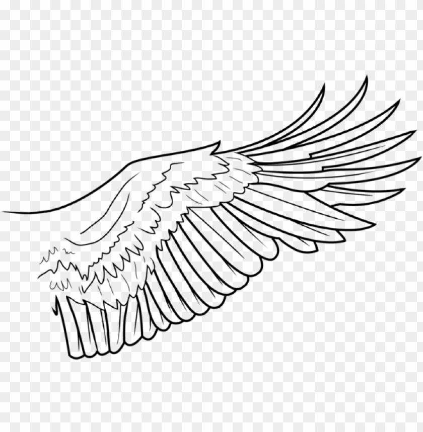 Detail Eagle Wings Png Nomer 22