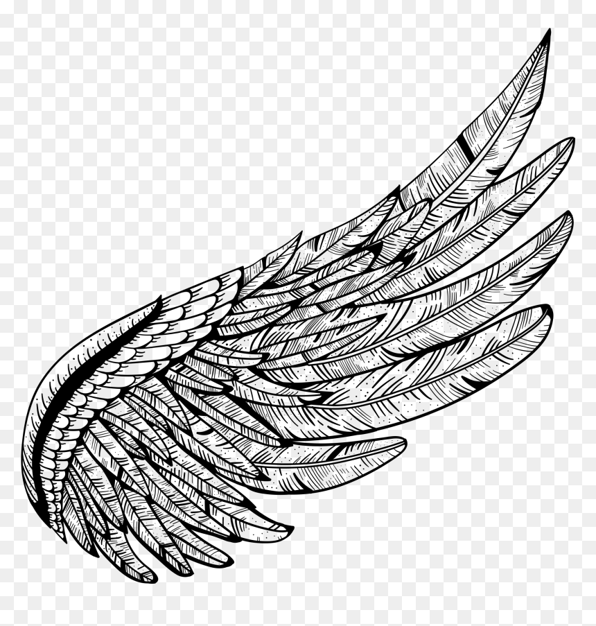 Detail Eagle Wings Png Nomer 27