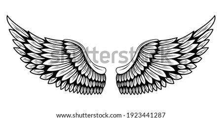 Detail Eagle Wings Png Nomer 49